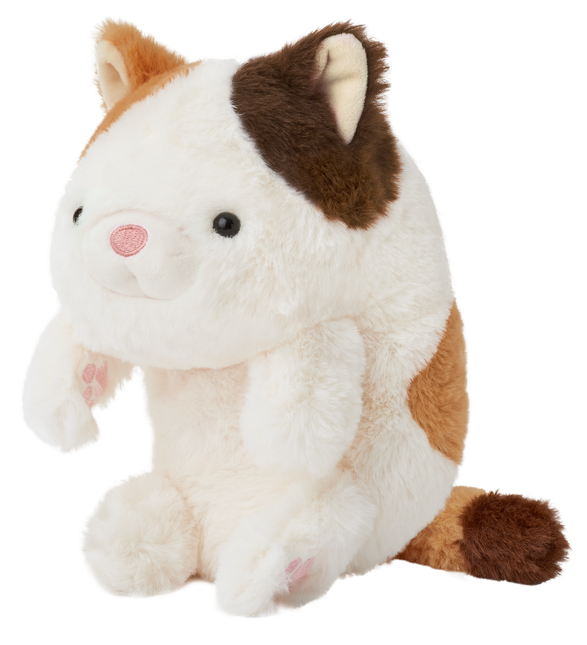 Posture Pal - Blind Box Pick