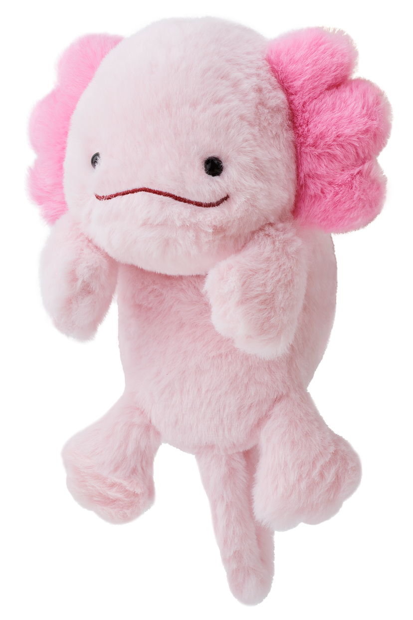Posture Pal - Blind Box Pick