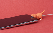 CABLE BITE Dino - Little Accent