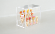 Sonny Angel Acrylic Display Case - Little Accent