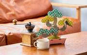 Play Plants Bonsai Puzzles - Sweet Choice