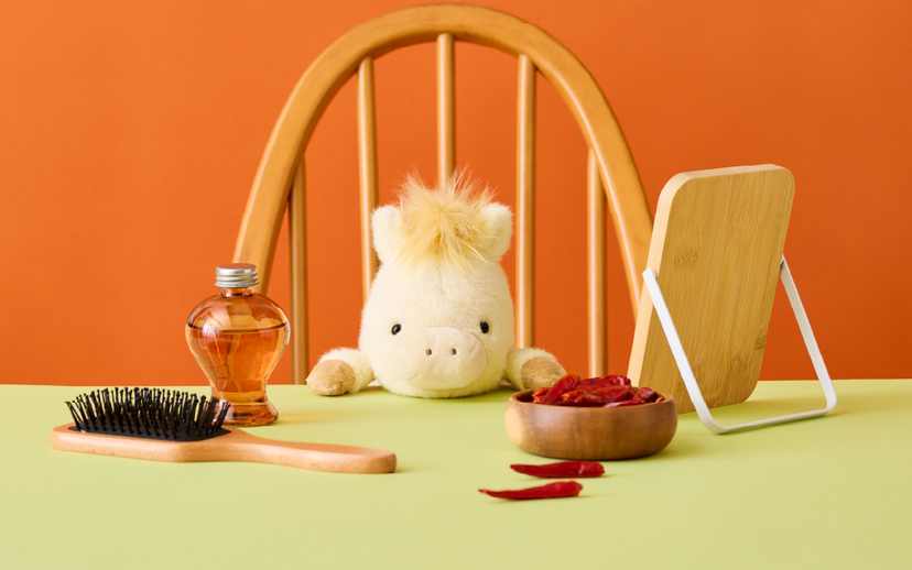 Posture Pal - Gift Ready