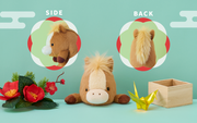 Posture Pal - Modern Display