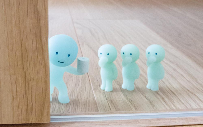 SMISKI Toilet Series - Shelf Display