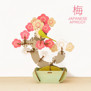 Play Plants Bonsai Puzzles - Classic Style