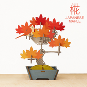 Play Plants Bonsai Puzzles - Classic Style