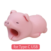 CABLE BITE for Type-C USB - Modern Accent