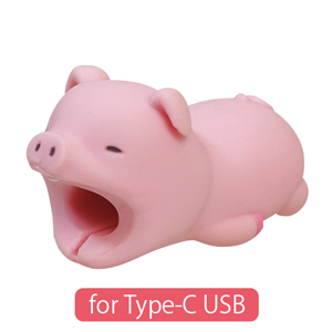 CABLE BITE for Type-C USB - Modern Display