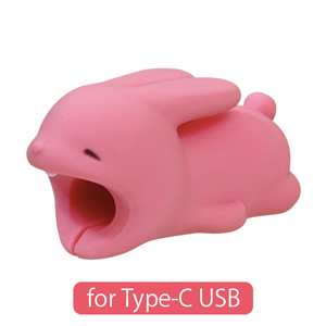 CABLE BITE for Type-C USB - Modern Accent