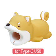CABLE BITE for Type-C USB - Modern Accent
